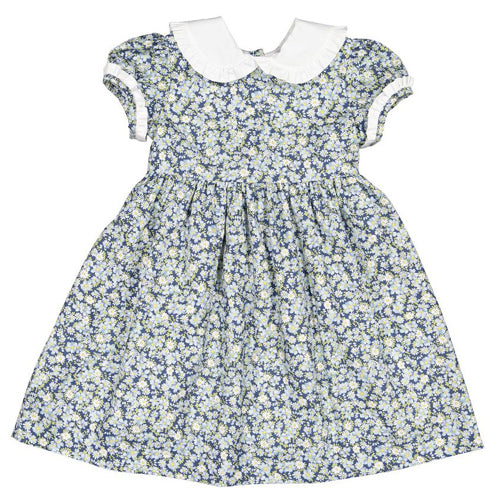 Sal & Pimenta Winter Daisy Dress